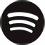 AI Playlists by Spotify logo