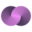 Copresence logo