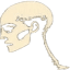 Humanizer-AI-Text logo