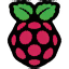 Raspberry Pi AI Camera logo