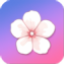Sakura AI logo