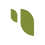 Sesame CSM 1B logo
